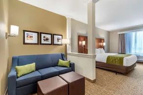 Comfort Suites San Antonio Ft Sam Houston-SAMMC Area - Room