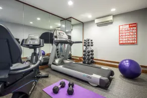 Park Avenue Robertson - Gimnasio