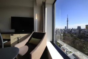 Richmond Hotel Premier Asakusa International - Vue de la chambre
