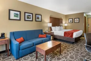 Comfort Inn Dyersville Near the Field of Dreams - Værelse