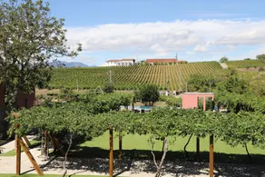 Quinta Vale de Sousa - Douro Valley - Ausblick vom Zimmer