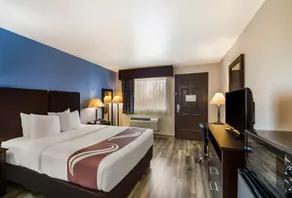 Quality Inn & Suites Round Rock - Chambre