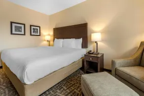 Comfort Inn & Suites Pittsburgh-Northshore - Chambre
