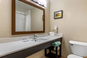 Comfort Inn Oklahoma City South - I-240 - Room