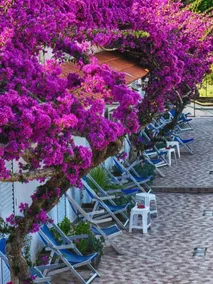 Hotel Parco Cartaromana - Rom