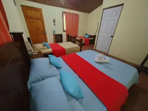 Garden of Heliconias Lodge - Room