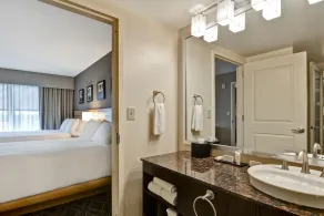 Embassy Suites by Hilton Raleigh Durham Airport Brier Creek - Salle de bain