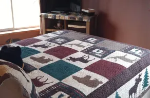 Strong Timbers B&B - Zimmer