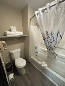 Alpine Inn & Suites Gunnison - Salle de bain
