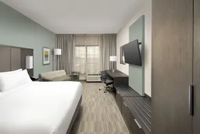 Holiday Inn Express Pensacola Downtown by IHG - Chambre