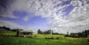 Wines for Joanie Cottage - Zimmer