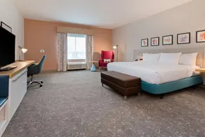 Hilton Garden Inn Homestead - Rum