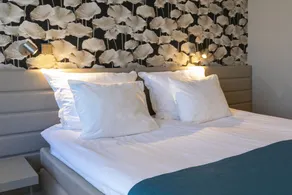 Spa Tervise Paradiis - Room