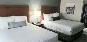 Best Western Lexington Inn - Chambre