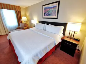 Holiday Inn Reynosa Zona Dorada by IHG - Chambre