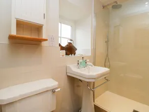 Wallerthwaite Barn Cottage - Bathroom