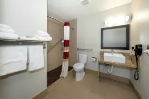 Red Roof Inn PLUS+ Huntsville - Badrum