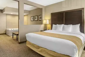 Comfort Inn & Suites Allen Park - Dearborn - Chambre