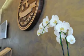 Iliria Internacional Hotel - Réception