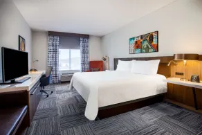 Hilton Garden Inn Nashville/Smyrna - Chambre