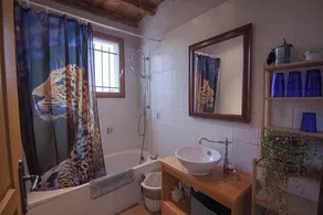 Maison des Monts Bleus - Badeværelse