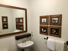 A Bear and Bison Country Inn - Salle de bain