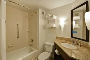 Hampton Inn Detroit/Madison Heights/South Troy - Salle de bain