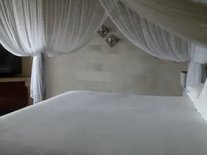 Baliku Dive Resort - Room