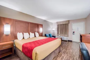 Econo Lodge Walterboro I-95 - Chambre