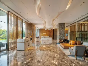 Radisson Hotel, Beijing Daxing Airport     - Reception