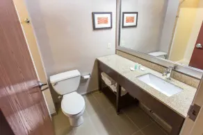 Comfort Inn Pittsburgh Crafton - Salle de bain