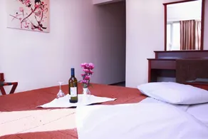 Apollo Hotel - Room