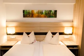 TaunusTagungsHotel - Camera