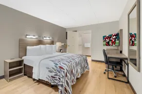 Red Roof Inn Buffalo - Niagara Airport - Chambre