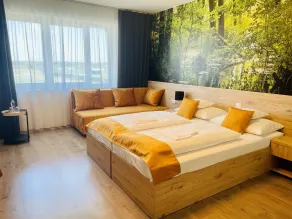 Gyirmót Sport & Wellness Hotel - Room
