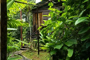 La Loma Jungle Lodge and Chocolate Farm - Room
