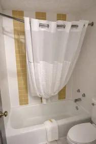 Days Inn by Wyndham Amherst OH - Near Cleveland Cedar Point & Lake Erie - Salle de bain