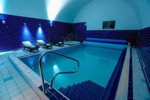 LH Hotel Dvořák Tábor Congress & Wellness - Piscina
