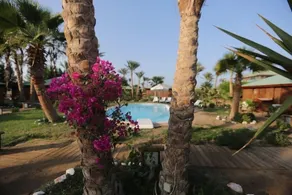 Abu Dabbab Lodge - Piscine