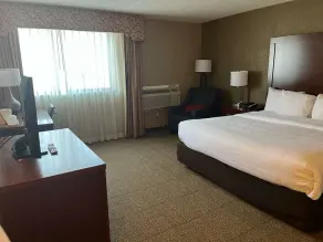 Comfort Inn Farmington Hills - Novi-Royal oaks-Southfield-Detroit Northwest - Chambre