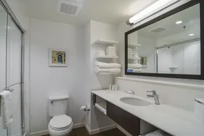 Hampton Inn Chicago North-Loyola Station - Salle de bain