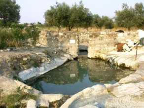 Forum Cassii - Basseng