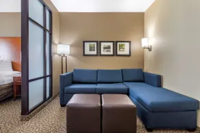 Comfort Suites Florence I-95 - Chambre