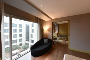 Holiday Inn New Delhi Aerocity by IHG - View from room