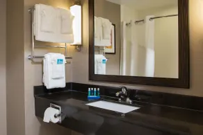 Holiday Inn Express - Springfield Downtown by IHG - Salle de bain