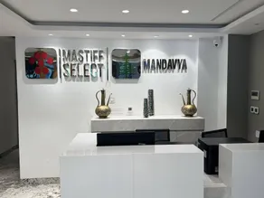 Mastiff Select Mandavya Dharamkot, McLeodganj - Réception