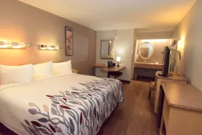 Red Roof Inn Buffalo - Hamburg/ I-90 - Chambre