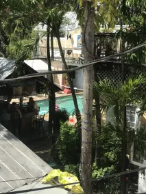 New Orleans House - Gay Male Adult Guesthouse - View from room