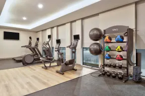 Wyndham Garden Anna - Fitnesscenter