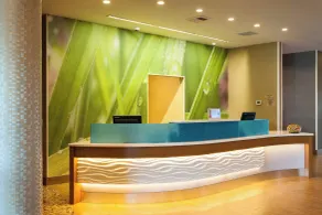 SpringHill Suites by Marriott Kennewick Tri-Cities - Réception